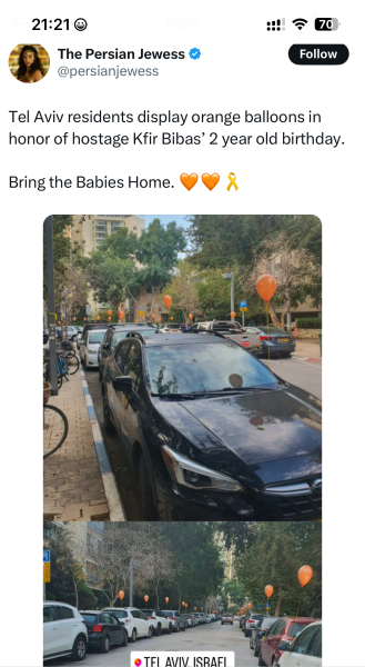 Israelis held hostage in Gaza - part 4