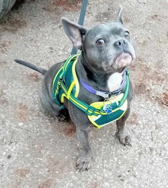 The Continuing Support Thread for Anyone Trying to Lead an Alcohol-Free Life Winter 2024