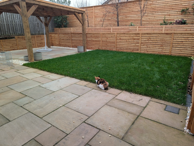 Getting rid of grass for veg beds a bad idea?