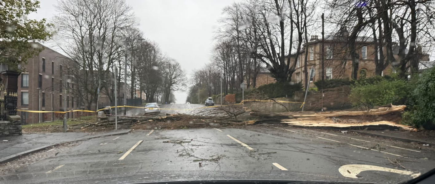 Week 4 (or is it 3?!) Jan '25 Low Carb Bootcamp