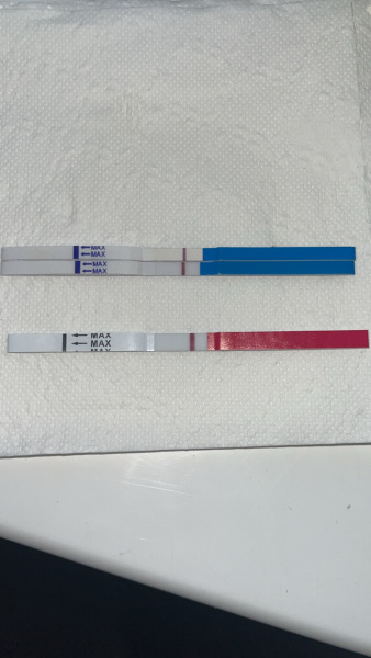 Do you see it? 12dpo