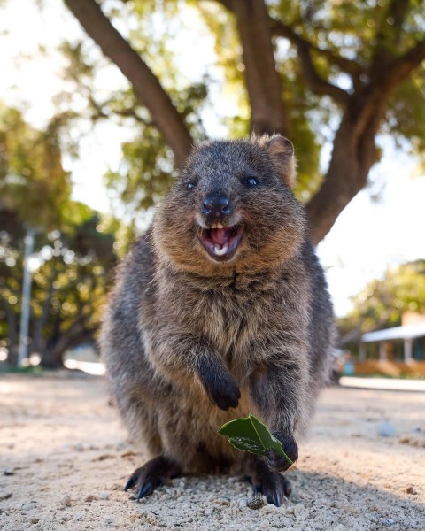 Ladies and Ladies: The Bluestocking is open: again