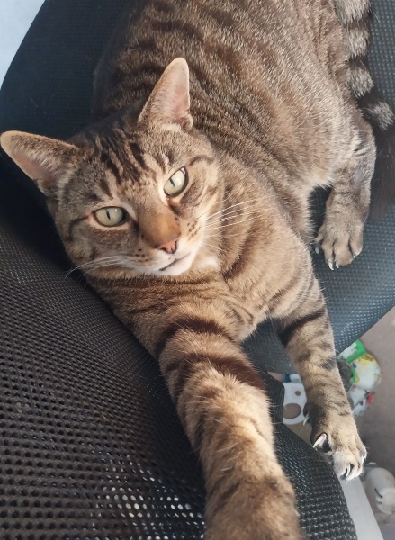 Thread 17: Starmer: Treading softly.