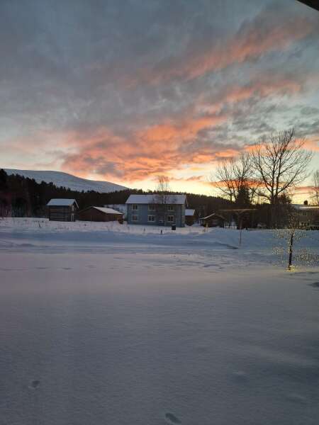 The Nigel Slater Christmas Chronicles Readalong 2024 Part 3