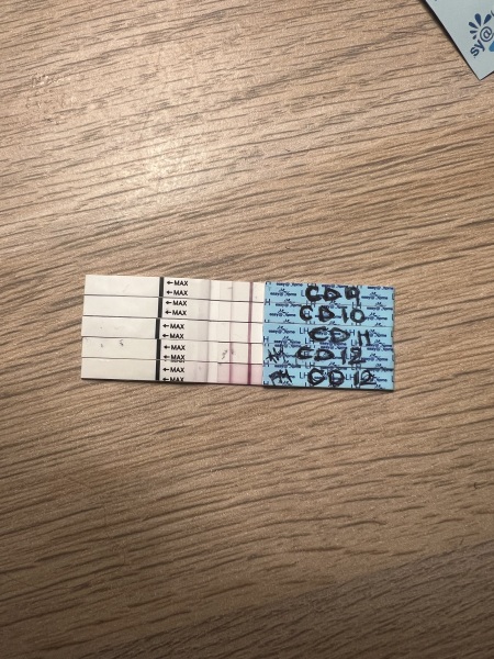 Anyone about to go into an ovulation week?