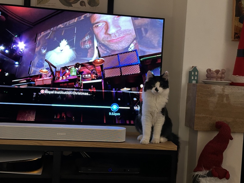 To ask me to show me your cat
