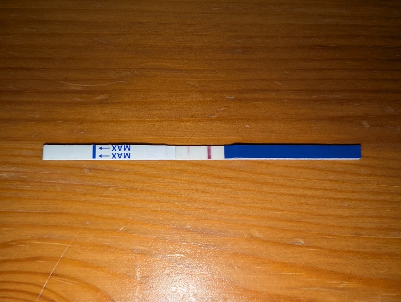 12 days late, BFN, positive opk
