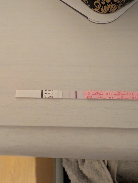 11dpo
