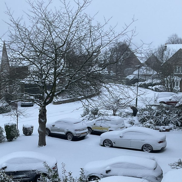 Has anyone got snow yet?