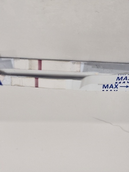 January TTC Support Group 💚