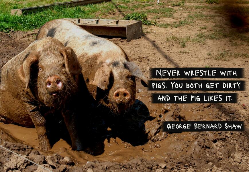 Thread 16 Starmer - Mad World