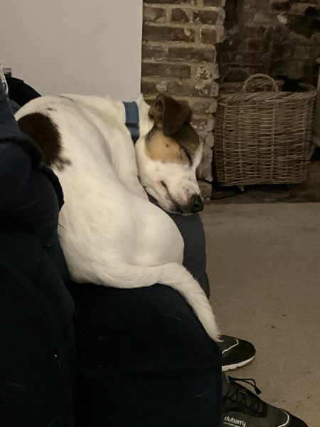 Thread 14 Starmer - The Starmeristas Strike Back