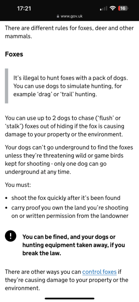 Trail Hunting or Fox Hunting?