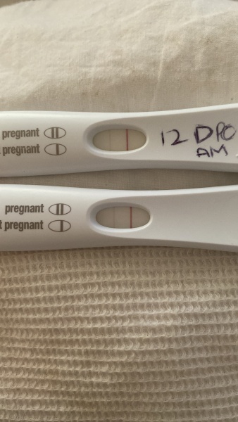 Immune/NK cells pred thread #33