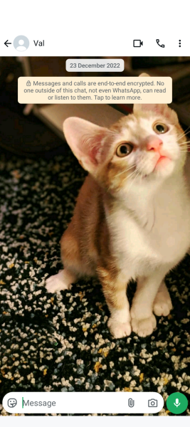 Husbands Encrypted WhatsApp with Female Colleague