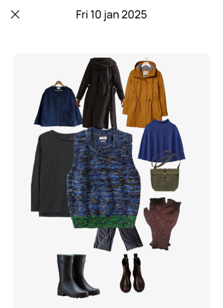 No/low buy 2025 shop from wardrobe