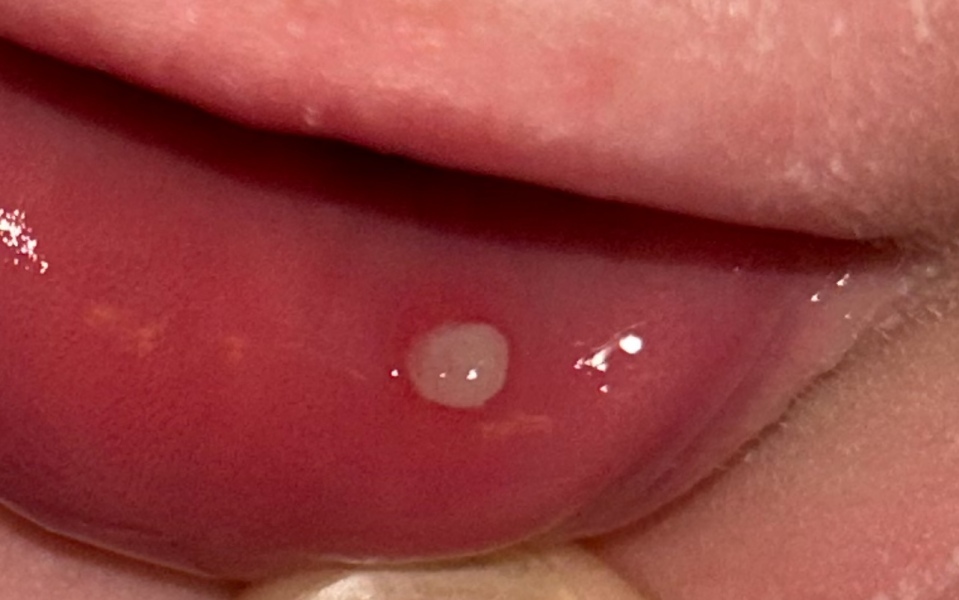 Any idea what this could be?