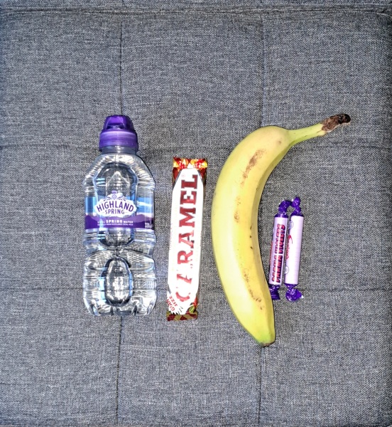 The Bluestocking: the one where AI finally learns what a blackbird is (we hope)