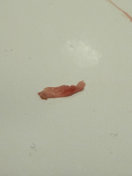 Anyone have any idea what this is?