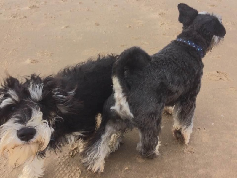 Thread 16 Starmer - Mad World