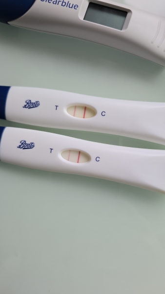IVF/ICSI/FET December 2024