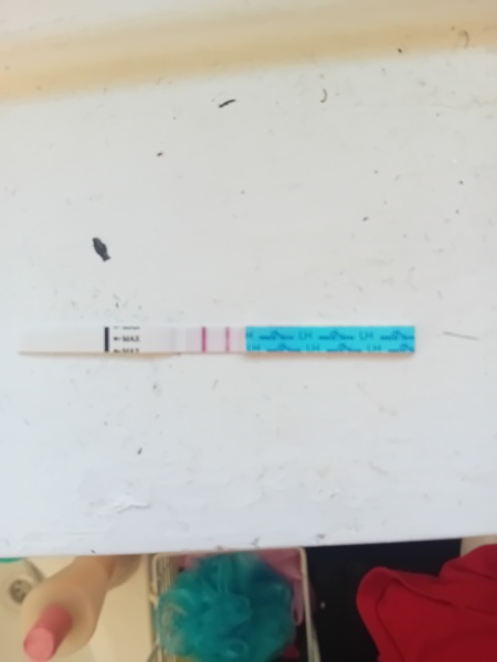 February TTC Support Group