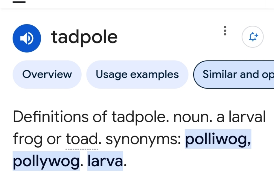 Am I being a snowflake about this - name of a nursery that is similar to something I find offensive ?