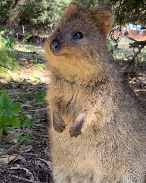 Ladies and Ladies: The Bluestocking is open: again