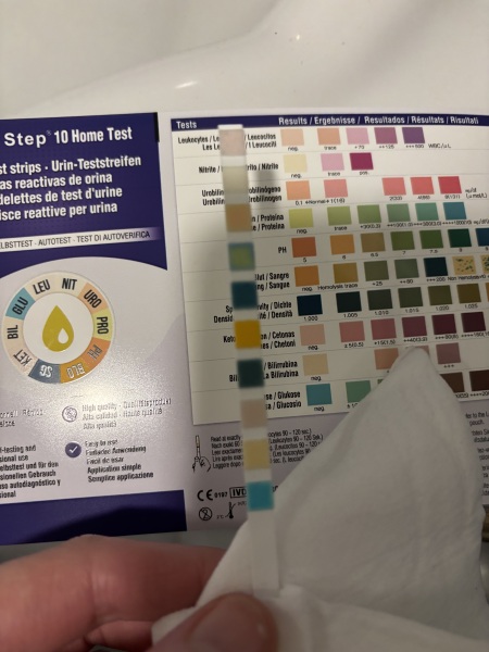 UTI?