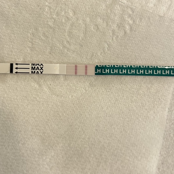 February TTC Support Group