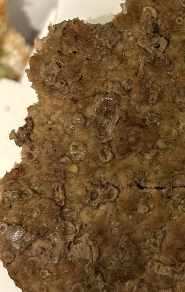 To think this burger doesn’t look right at all. Warning unappetising photo