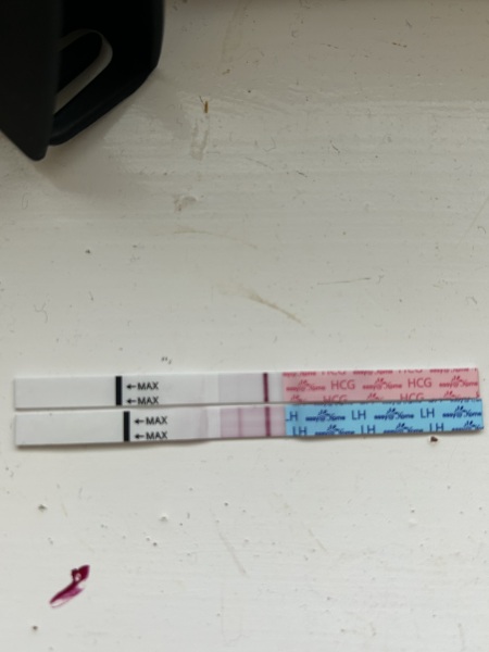 January TTC Support Group 💚