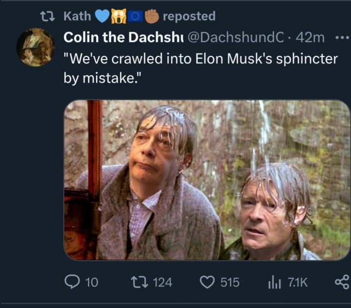 To want Elon Musk to stay the fuck out of U.K. politics?