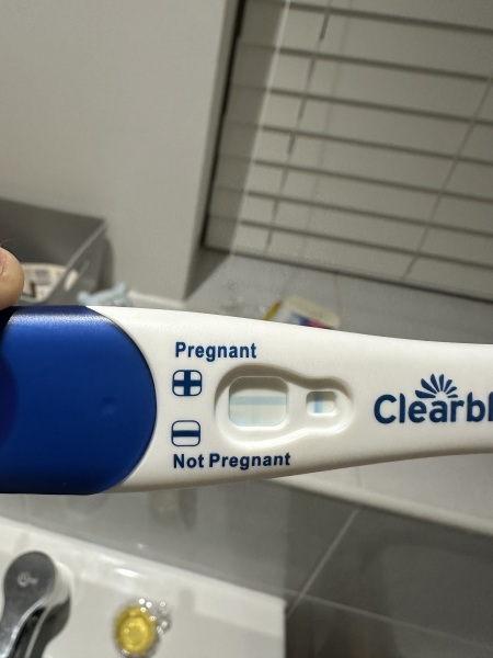 Pregnant or evap line? Husband has had vasectomy!