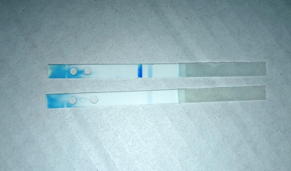 Faint test but digital clear blue says not pregnant