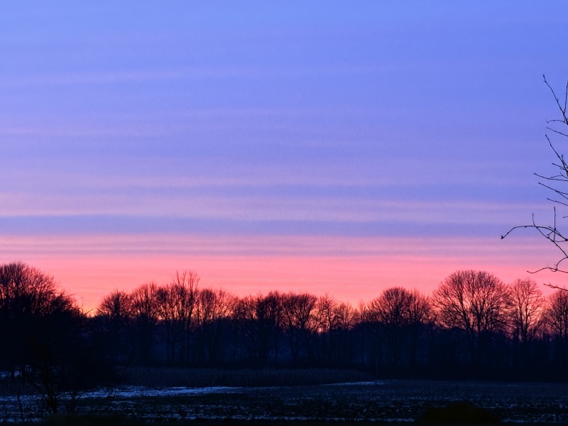 The Nigel Slater Christmas Chronicles Readalong 2024 Part 3