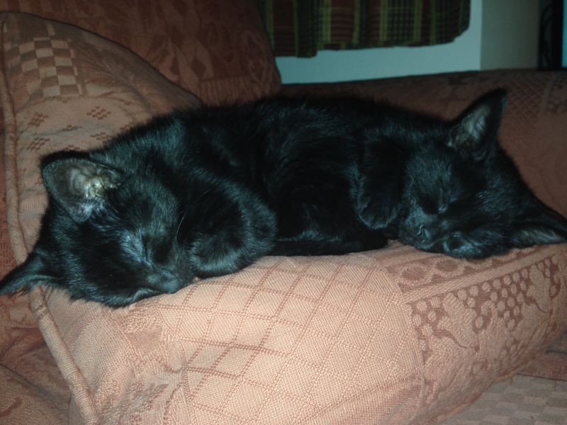 Thread 16 Starmer - Mad World