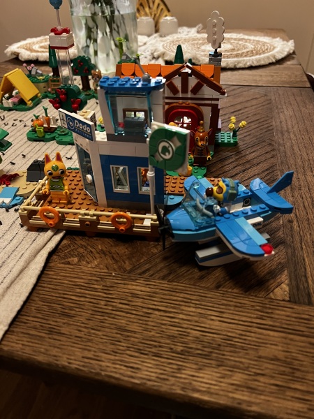 To show me your Lego collection?