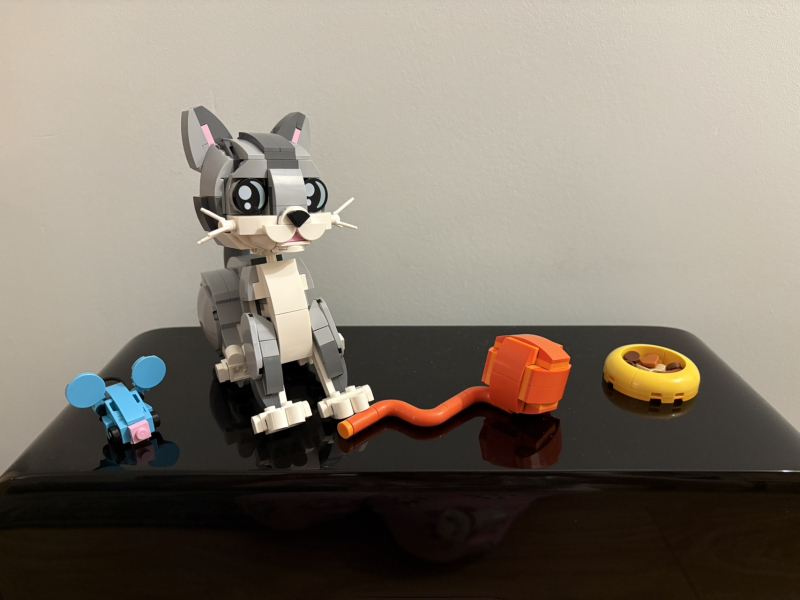 To show me your Lego collection?