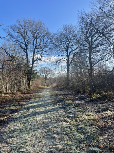 To think getting out for a walk is better for you than the gym?