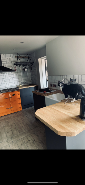 ⭐️All Things Aga Related⭐️