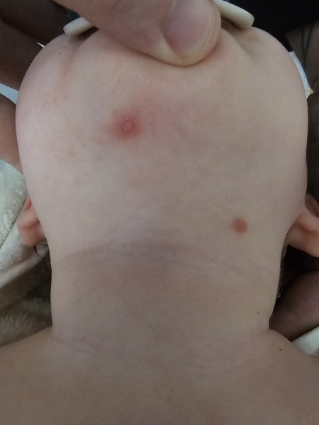 Has anyone had or seen anything like this?