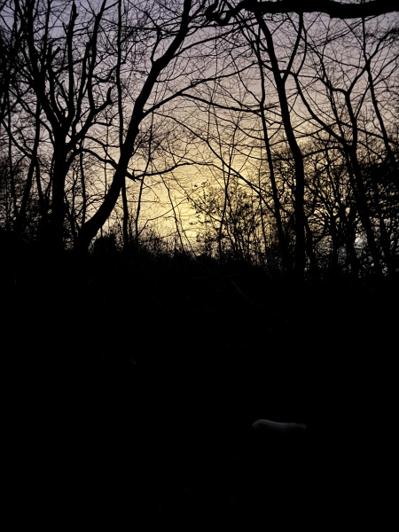 Would you walk through a foggy wood at night for 1k?