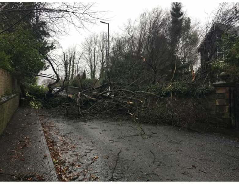 Any Witches here? Part 20