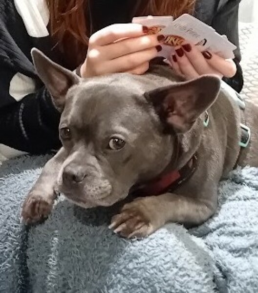 The Continuing Support Thread for Anyone Trying to Lead an Alcohol-Free Life Spring 2025