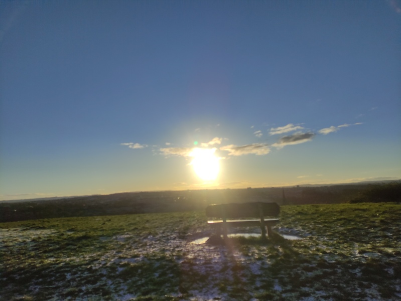 ⭐️LOSE IT! January 2025. Revive & Thrive⭐️