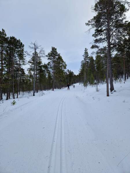 The Nigel Slater Christmas Chronicles Readalong 2024 Part 3