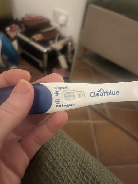 PREGNANT OR EVAP LINE?