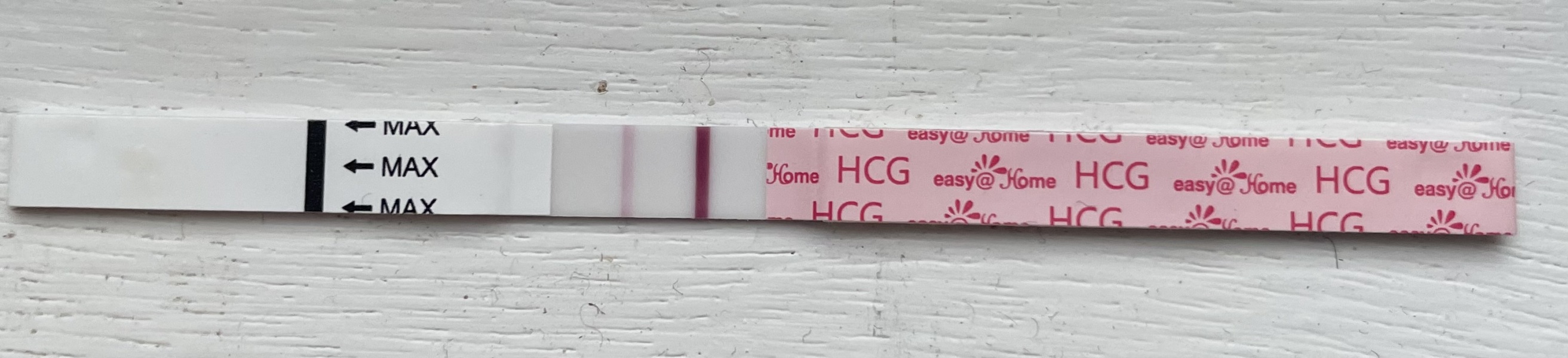 Please help I’m terrified!