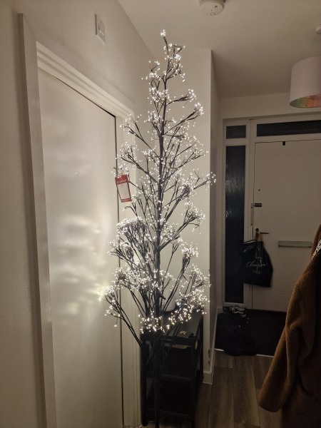 The Christmas trees in next window.